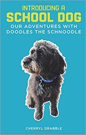 Introducing a School Dog : Our Adventures with Doodles the Schnoodle